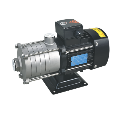 CHLF2-20