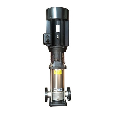 CHLF2-20