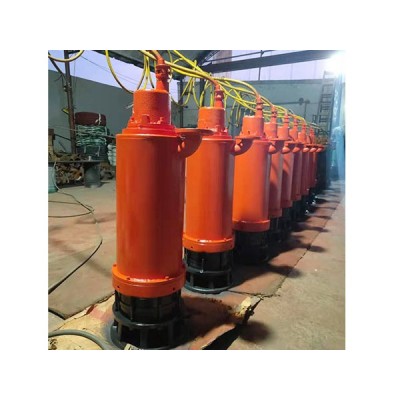 BQS12.5-240/6-25